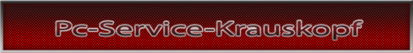 PC Service Krauskopf
